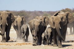 10-days-Tanzania-Zanzibar-Safari