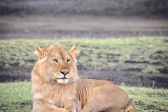 19007850-F68F-4811-B80C-93E079ACDC49