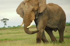 627C40BC-F787-439E-8204-025222581D1F