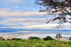 62F8C631-C836-40C1-9E08-DF253E654B9D