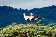 7D065D66-F690-41F5-BD7F-7AD902C0CCA0