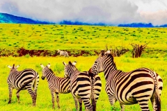 819DAD8C-3CE7-4C11-B016-D4FFEE174178