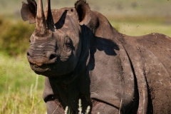 XVMe4996ee8-eac6-11e5-973b-cefe5f981d4d-250x250-e1572421203179