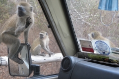 kumbikumbiadventures-429