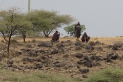 kumbikumbiadventures-481