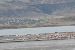 kumbikumbiadventures-657